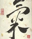 Andrea Villar Grandón, Acupunturista