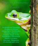 Lucía Ruiz Alarcón