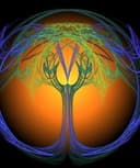 Claudia Donoso Díaz