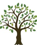 Maria Jose Olavarria Garcia