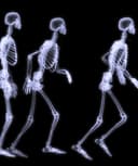 Edgardo Opazo Barraza