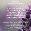 Andrea Abarzua Menar