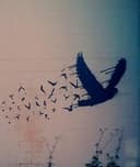 Marilola Durán Durán