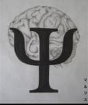 Gastón Chandía Concha