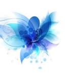 Carol Alegria Orrego