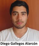 Diego Gallegos Alarcón
